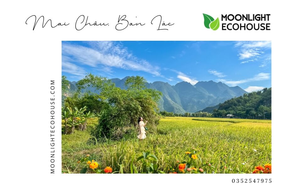 Review Bản Lác: Kinh Nghiệm Du Lịch Bản Lác 2023