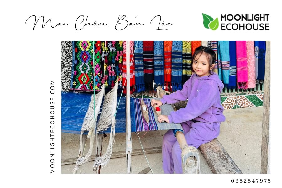 Review Bản Lác: Kinh Nghiệm Du Lịch Bản Lác 2023