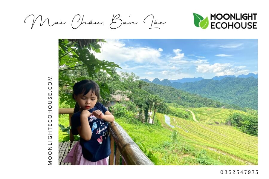 Review Bản Lác: Kinh Nghiệm Du Lịch Bản Lác 2023
