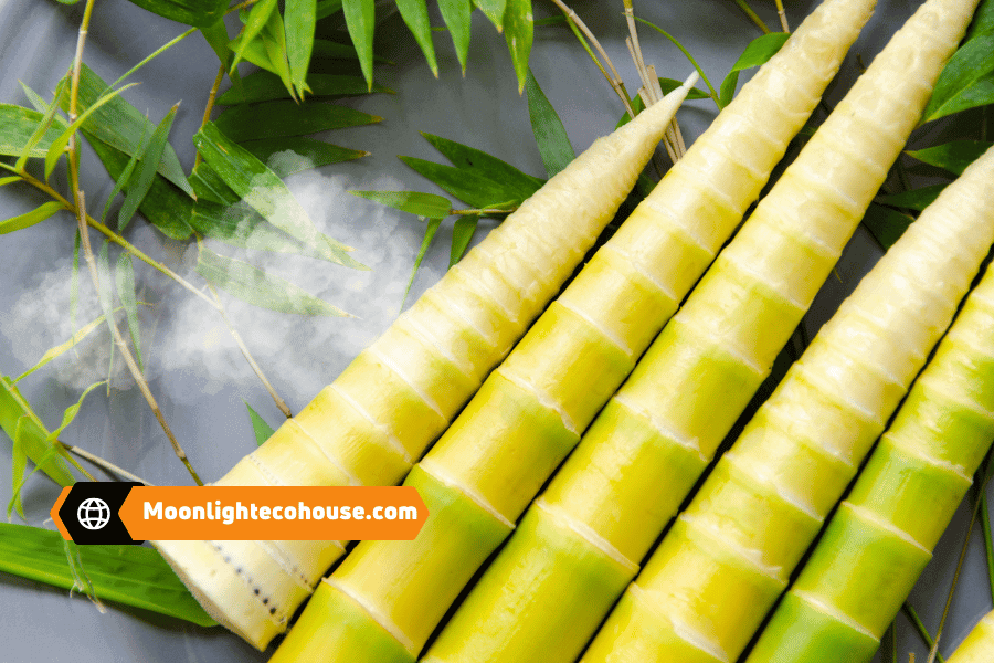 Món ăn đặc biệt từ măng đắng Mai Châu - hương vị độc đáo đến khó quên. Món ăn đặc biệt từ măng đắng Mai Châu - hương vị độc đáo đến khó quên.
