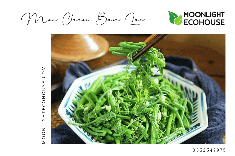 Món Ngọn Susu xào Bản Lác - hòa quyện giữa ngọt tự nhiên và hương vị độc đáo.