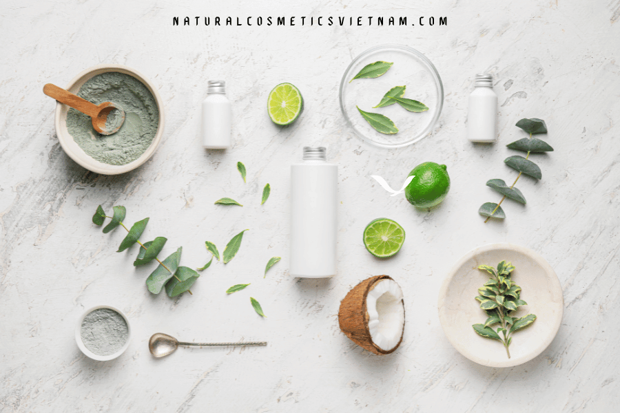 The Growing Trend of Herbal Extracts in Cosmetics