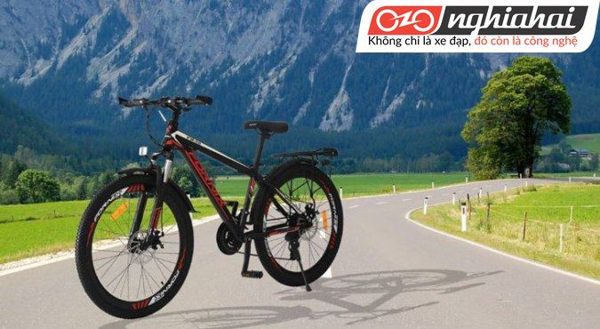 Cuộc tìm hiểu về thị trường xe đạp 3