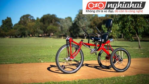 Xe đạp chở hàng tại Nhật Bản đang gặp phải khó khăn với thị trường Nhật Bản 1