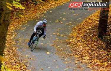 14 lý do vì sao đi xe đạp tốt hơn chạy bộ 1