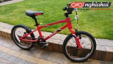 Những chiếc xe đạp trẻ em giá rẻ nhất hiện nay 4