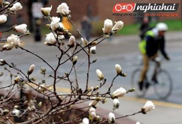 Tại sao không nên vội vàng đạp xe đạp vào mùa xuân 1