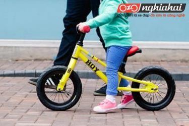 Xe đạp HOY Bikes dành cho trẻ em 2018 2