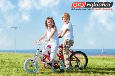 3 cách cho bạn chọn một xe đạp trẻ em chất lượng 2