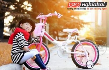 Xe đạp trẻ em dành cho bé 10 tuổi 3