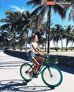 Cẩm nang đạp xe đạp mini mùa hè bổ ích cho bạn. 2