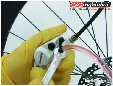 Phương pháp thay dầu cho đĩa dầu của xe đạp địa hình 1