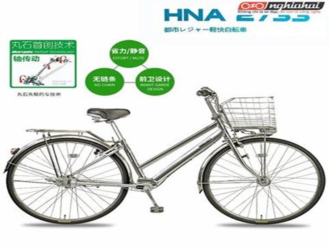 Xe đạp cào cào Nhật Bản nhập khẩu nguyên chiếc đã có mặt ở Việt Nam 5