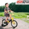 Lợi ích của xe đạp trẻ em, Hướng dẫn trẻ em tập đi xe đạp 3