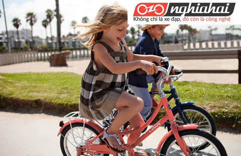 Những lỗi thường gặp trên xe đạp trẻ em và cách xử lý 3