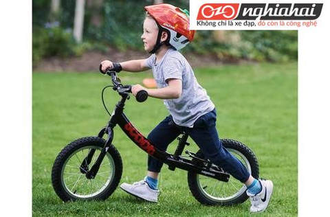 Đâu là chiếc xe đạp trẻ em tốt nhất cho bé 1