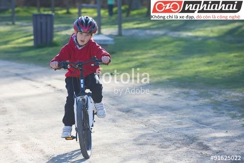Nguyên tắc khi dạy con đi xe đạp trẻ em 2