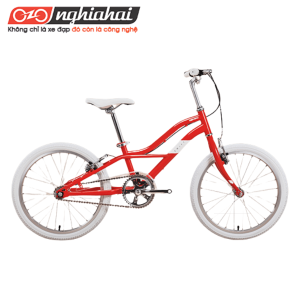 Xe đạp trẻ em Lion Bird 20 inh