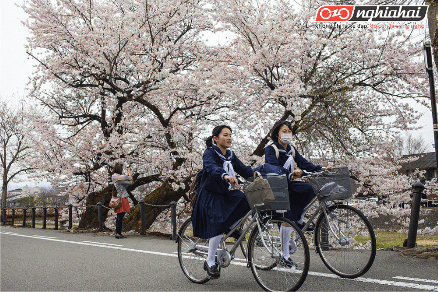 Những hoạt động và sự kiện liên quan đến xe đạp tại Nhật Bản