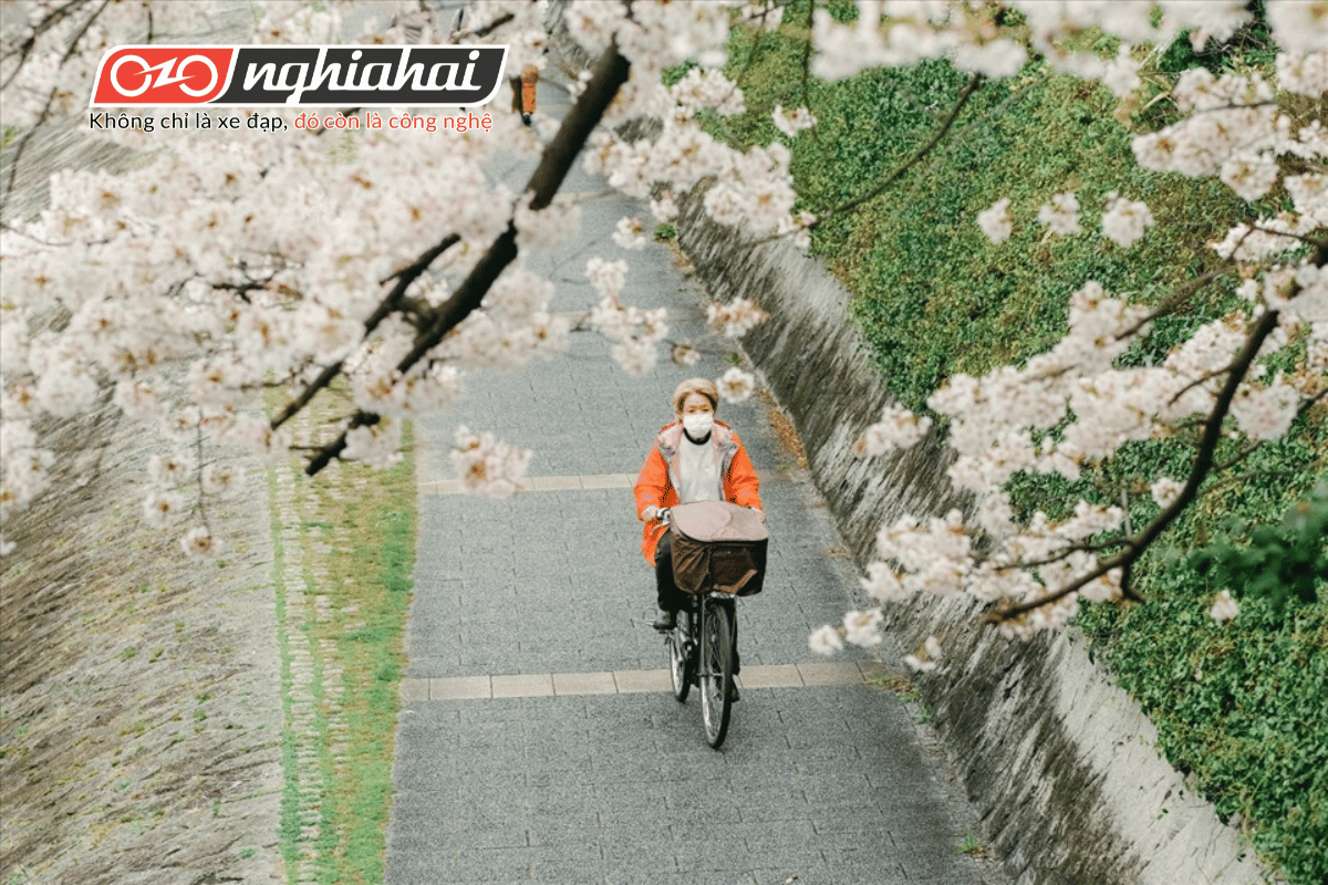 Ở Nhật Bản, một biển số đăng ký cụ thể sẽ được cấp cho chiếc xe đạp