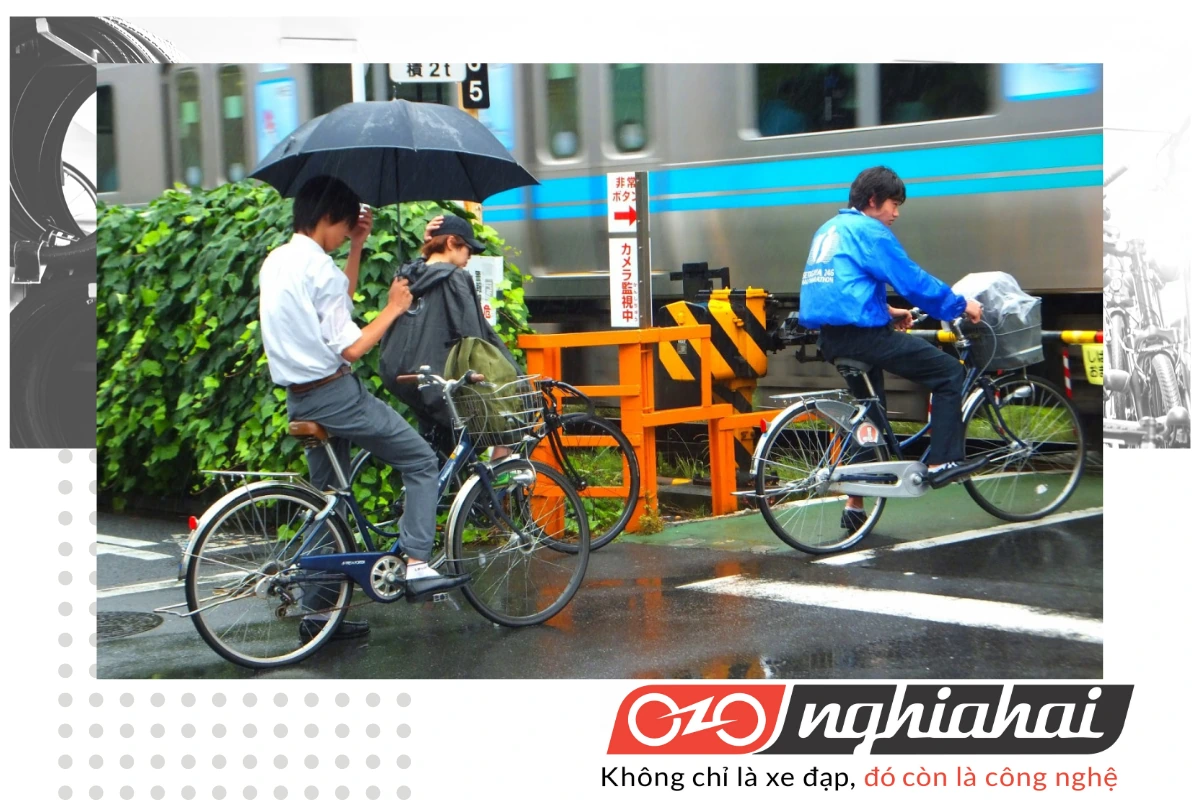 Tầm quan trọng và văn hóa xe đạp ở Nhật Bản