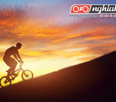 Theo thống kê của Bộ Nội vụ và Truyền thông Nhật Bản