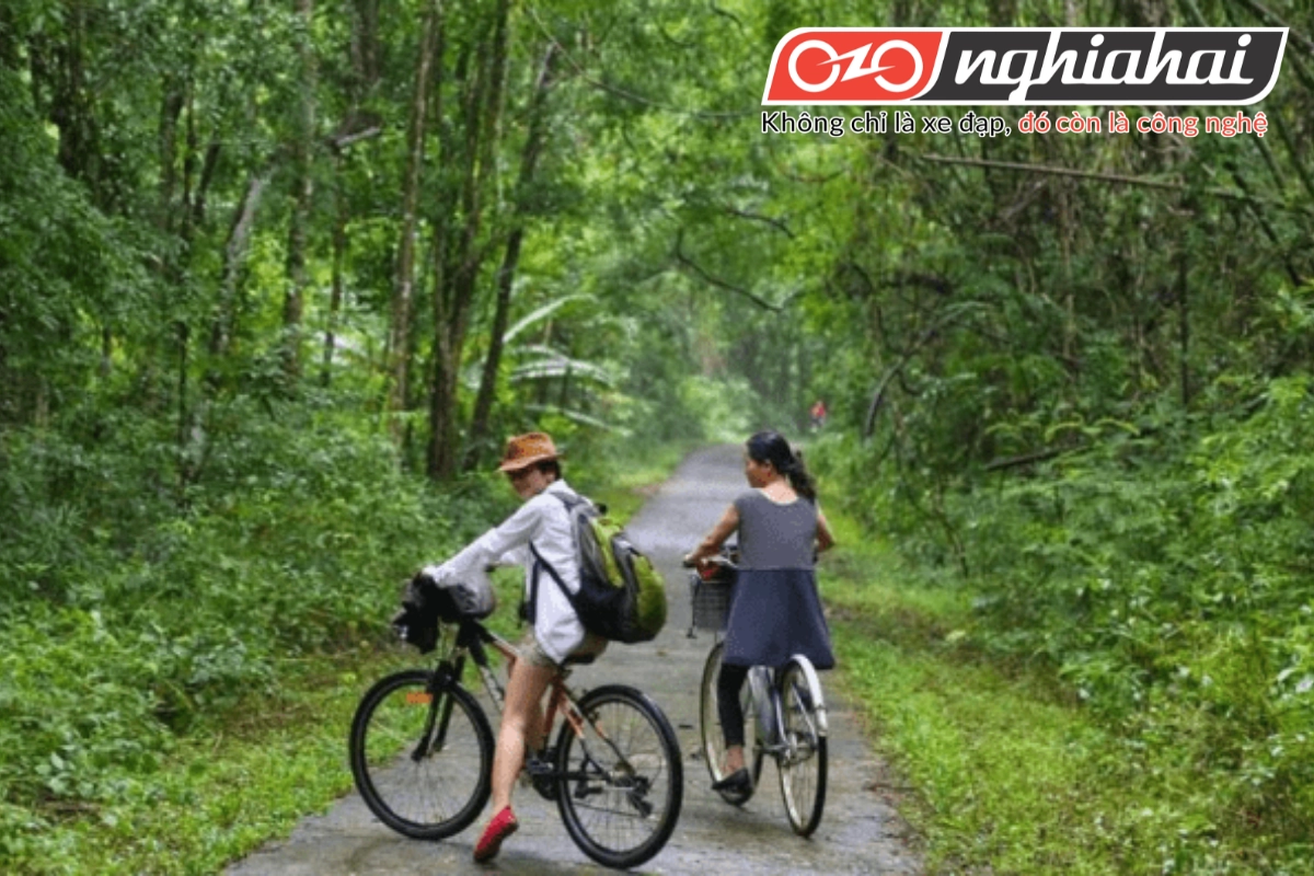 Vườn quốc gia Cát Tiên có dịch vụ cho thuê xe đạp