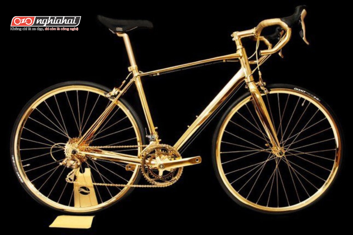 Chiếc xe đạp mạ vàng là một tác phẩm nghệ thuật di động