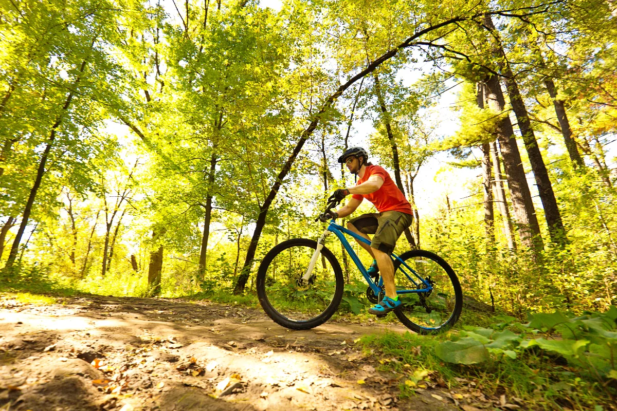 Những yếu tố cần xem xét khi chọn xe đạp địa hình rừng