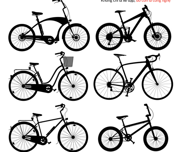 Cách phân biệt các dòng xe đạp thể thao hiện nay  DNGBIKE