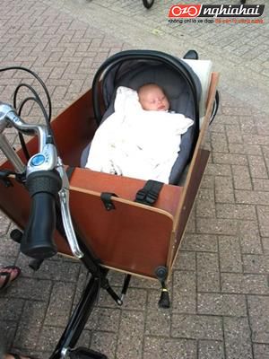 Xe đạp chở hàng – cách tuyệt vời để đạp xe với em bé