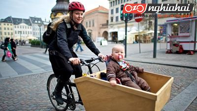 Xe đạp chở hàng – cách tuyệt vời để đạp xe với em bé2