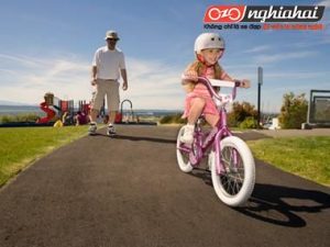 Giới thiệu tổng thể xe đạp trẻ em Goodbaby2