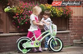 Giới thiệu tổng thể xe đạp trẻ em Goodbaby3
