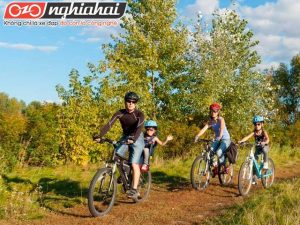 Các kỹ thuật leo núi xe đạp địa hình, Hướng dẫn đạp xe chuyên nghiệp 2