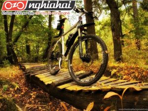 Các tai nạn có thể xẩy ra khi sử dụng xe đạp địa hình 2