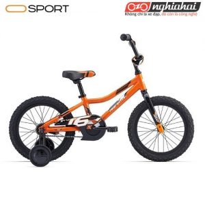 Các dòng xe đạp trẻ em. Xe đạp trẻ em giá tốt 1
