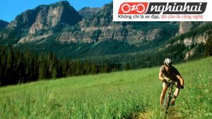 Lời khuyên khi dùng xe đạp địa hình. Sử dụng xe đạp địa hình 1