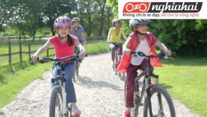 Sự hình thành của ngành công nghiệp xe đạp trẻ em 3