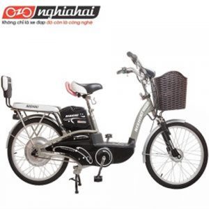 Xe-dap-dien-Nishiki-22-300x300