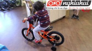 Những lầm tưởng về xe đạp trẻ em 1