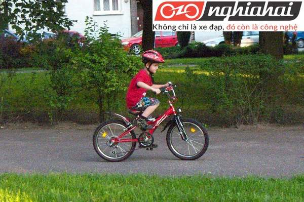 Những lầm tưởng về xe đạp trẻ em 3