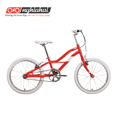 Xe đạp trẻ em Lion Bird 20 inhes