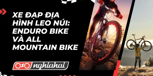 Xe đạp địa hình leo núi: Enduro Bike và All Mountain Bike