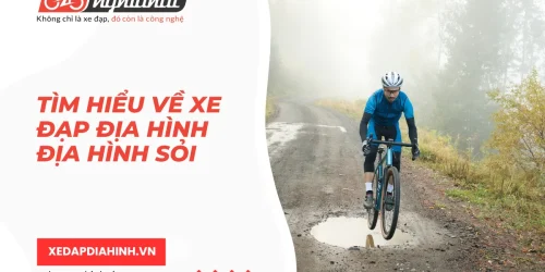 Tìm hiểu về xe đạp địa hình địa hình sỏi