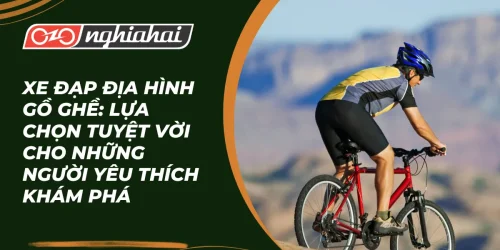 Xe đạp địa hình gồ ghề: Lựa chọn tuyệt vời cho những người yêu thích khám phá