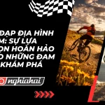 Xe đạp địa hình nam: Sự lựa chọn hoàn hảo cho những đam mê khám phá