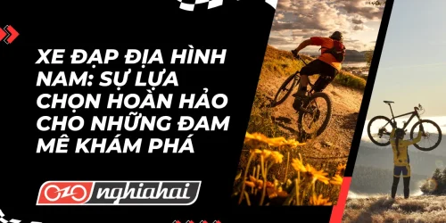 Xe đạp địa hình nam: Sự lựa chọn hoàn hảo cho những đam mê khám phá