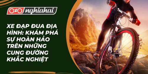 Xe đạp đua địa hình: Khám phá sự hoàn hảo trên những cung đường khắc nghiệt