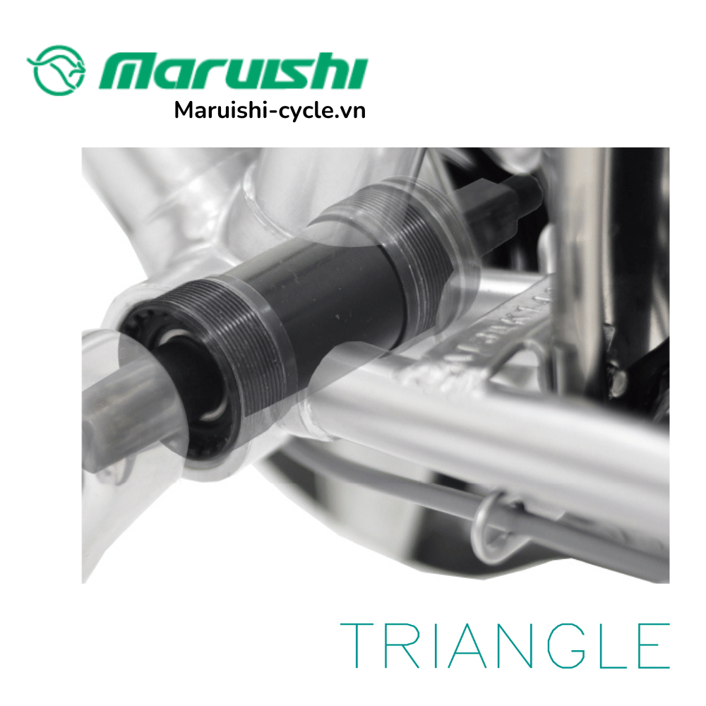 Maruishi cycle.vn Xe dap the thao TRIANGLE SF 08 Maruishi cycle.vn Xe dap the thao TRIANGLE SF 08